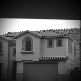 Pigeons gathered on top of roof in Surprise, AZ