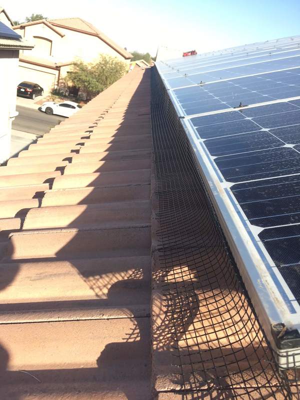 Netting placed around solar panels to prevent bird from getting underneath